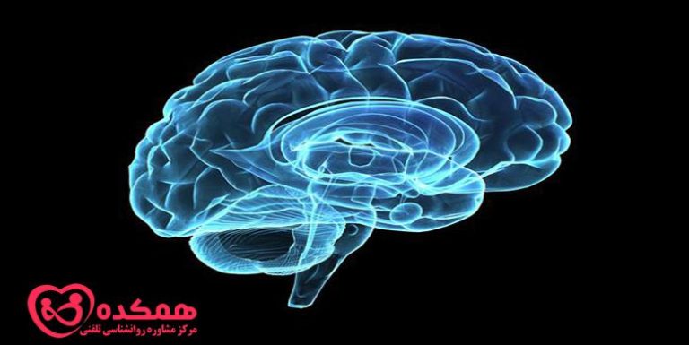 اثرات مشغله ذهنی بر سلامت مغز / همکده