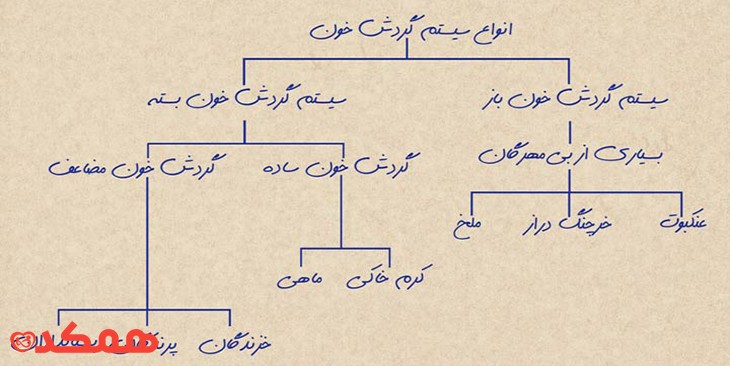 تکنیک هایی برای تقویت حافظه و بهبود یادگیری دانش آموزان | مرکز مشاوره همکده