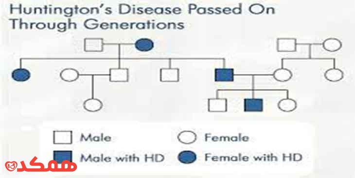 آمار و حقایق بیماری هانتینگتون | مرکز مشاوره همکده 