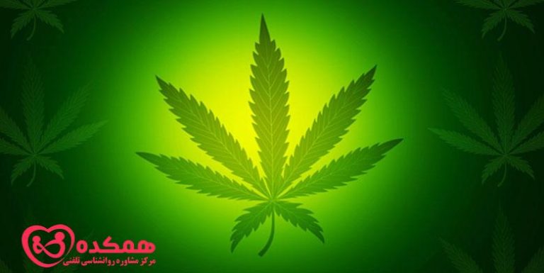 Knowledge of marijuana and its use