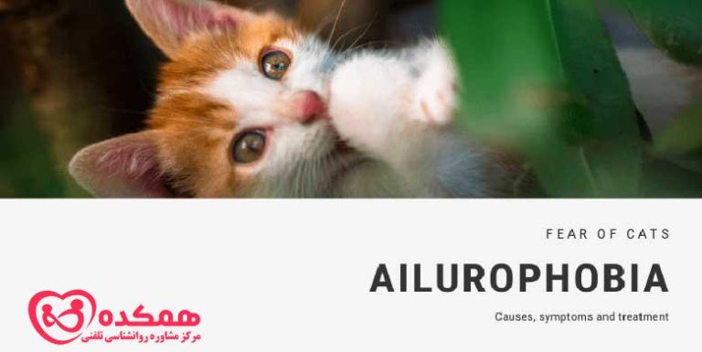 ترس از گربه ها | همکده