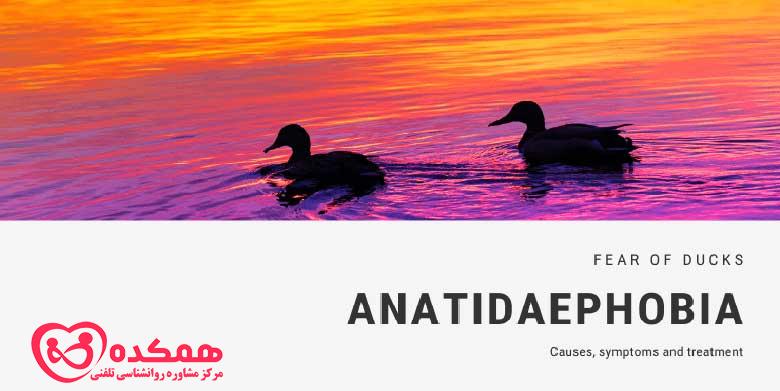 Anatidaephobia چیست و چگونه می توانیم با آن کنار بیاییم