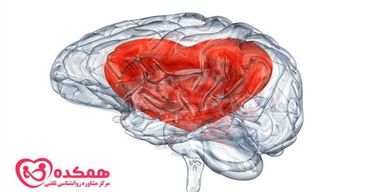عشق در قسمت عمیق مغز | همکده