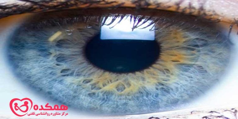 حافظه بصری / همکده