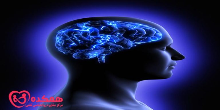 شناخت مغز و اعتیاد / همکده