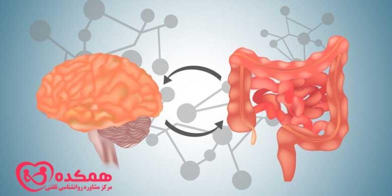 درک این که استرس چگونه بر روده شما تأثیر می گذارد! / همکده