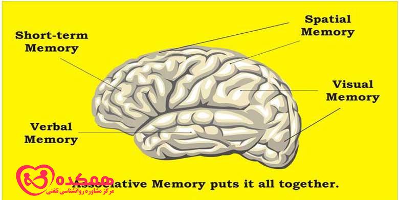 حافظه بصری چیست و چگونه بر ما تأثیر می گذارد؟