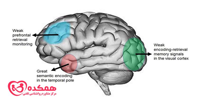 What is false memory