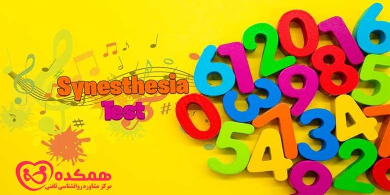 سینستزیا | همکده