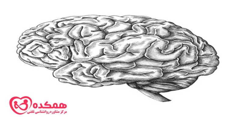 علائم رایج و علل ابتلا به زوال عقل | همکده