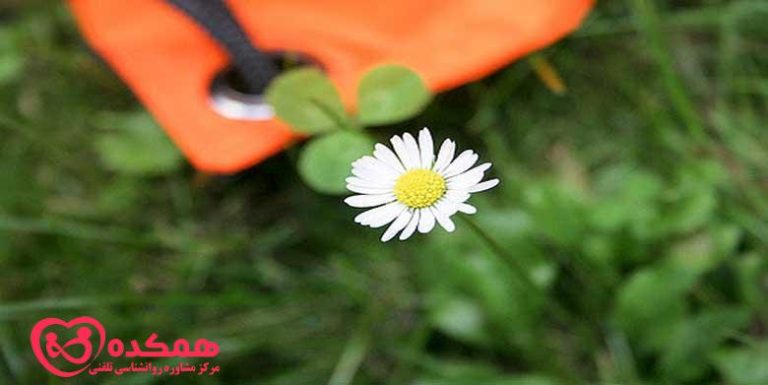 بزرگترین اصل خوشبختی چیست؟ | همکده