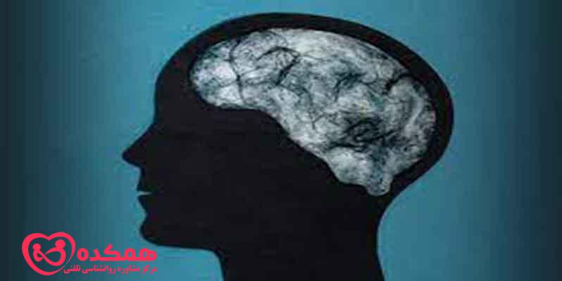 What is brain fog disorder in people?