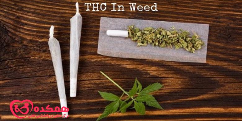 THC چیست؟ و مصرف آن چه عوارضی دارد؟ || همکده