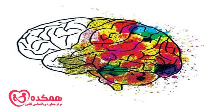 نیمه های خلاق و منطقی ذهن انسان | همکده