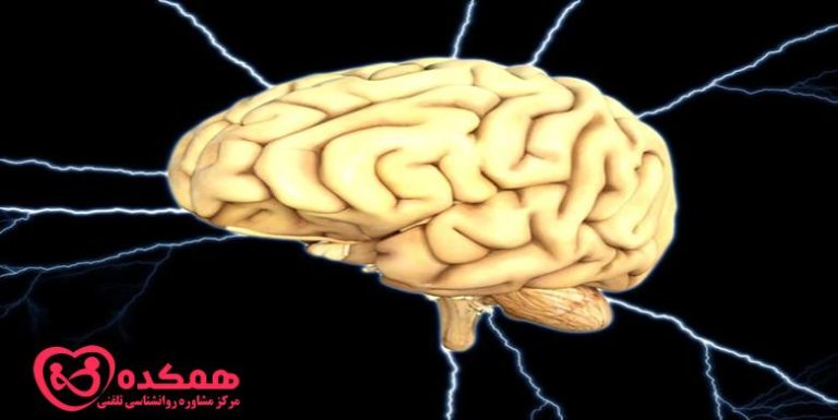 تنهایی در مغز | همکده