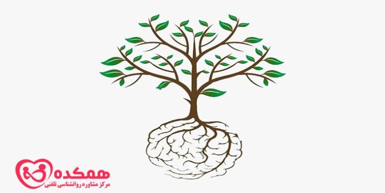 تأثیر رزماری بر حافظه و ذهن شما