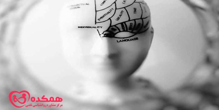 عادت هایی برای بهینه سازی مغز شما