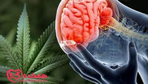 آیا حشیش باعث اسکیزوفرنی می شود؟ / همکده